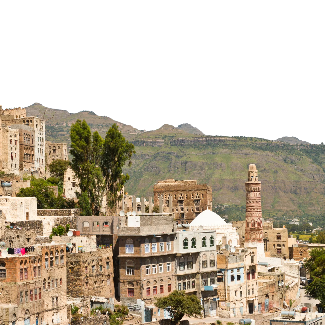 صعدة